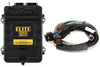 Haltech  Elite 2500 ECU