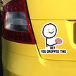 DS95# Hey You Dropped This Decal