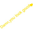 Dann You Look Good Decoration Rear View Mirror